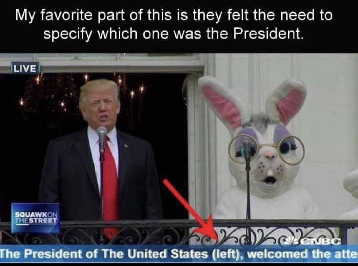 Thankfully the bunny had glasses to differentiate the two....