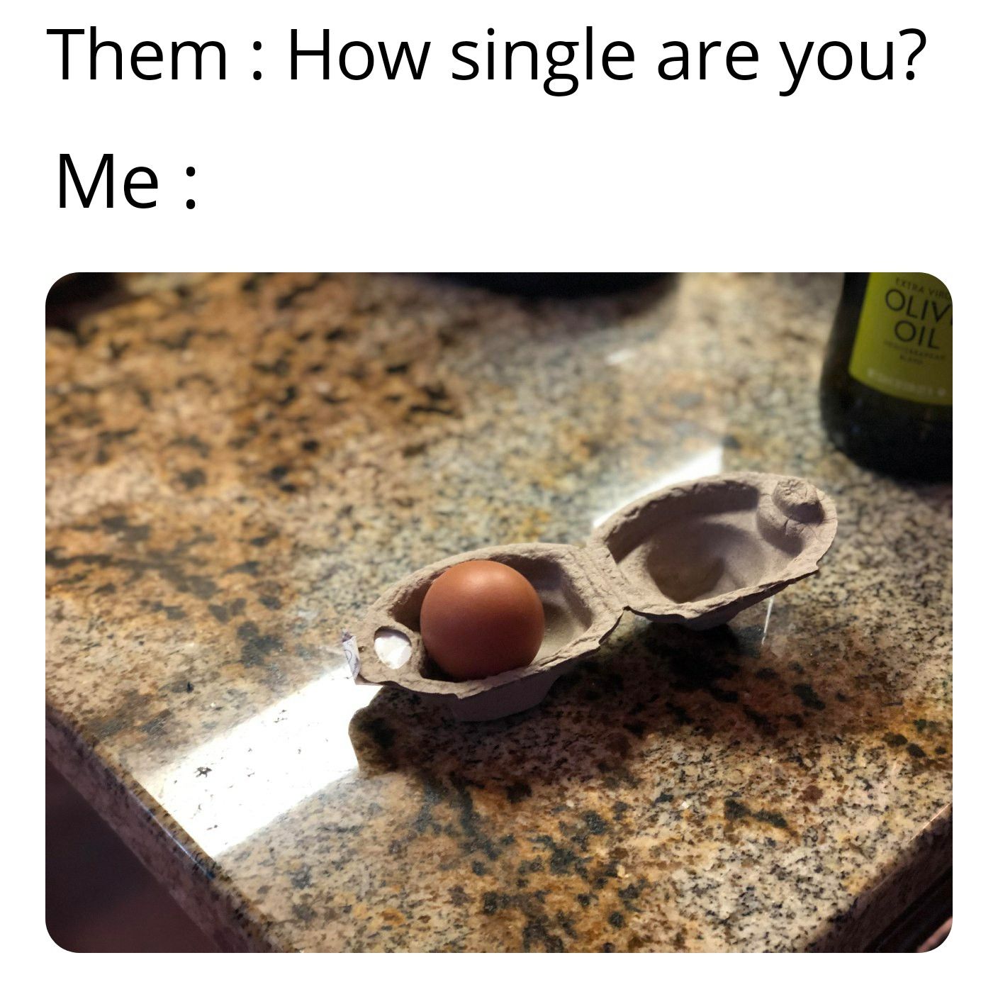 My life in an egg-shell