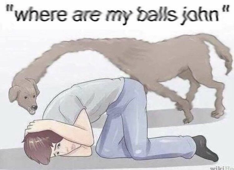 Where are they?