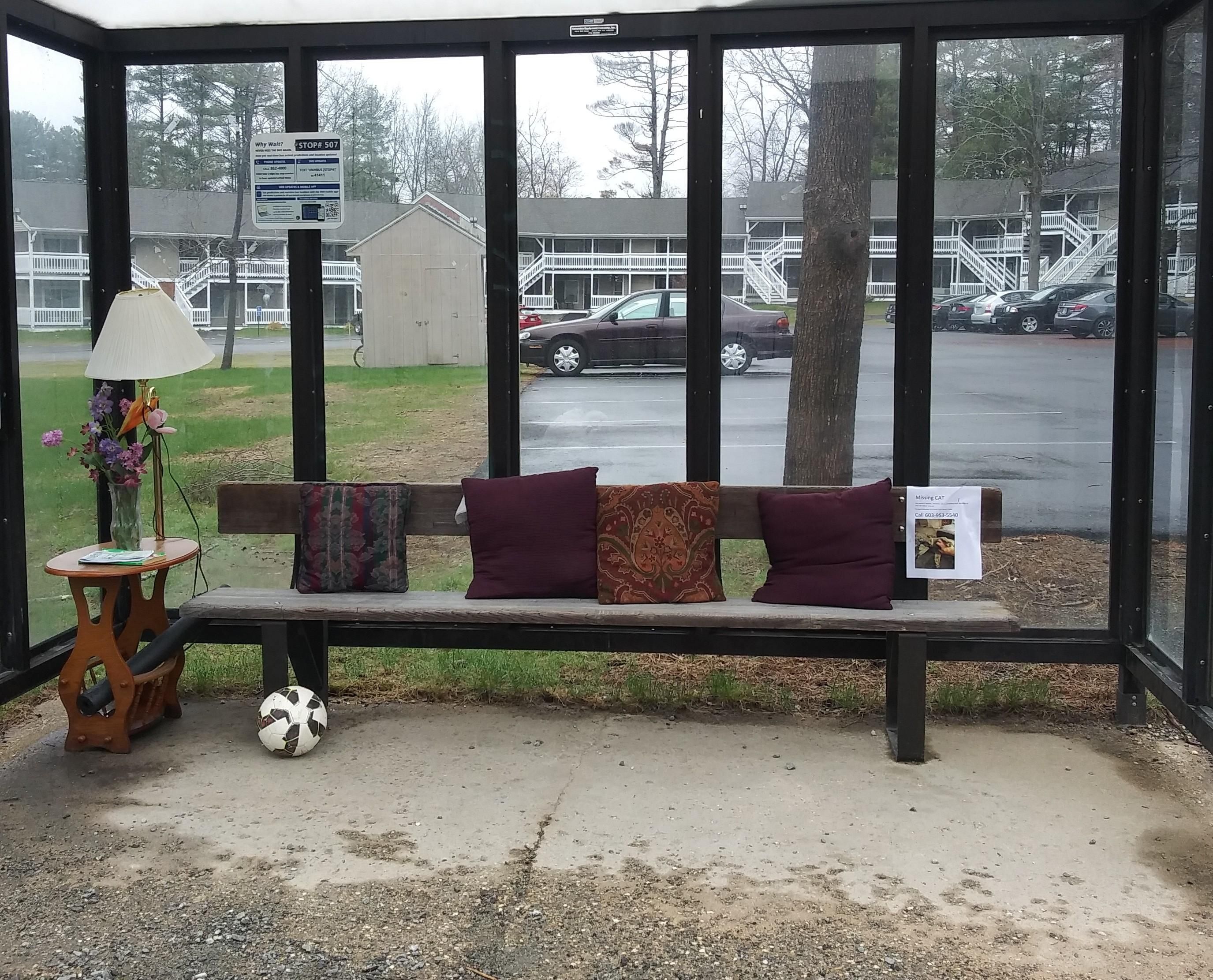 This bus stop near me is getting pretty cozy