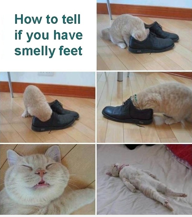 You know your feet smell bad when...
