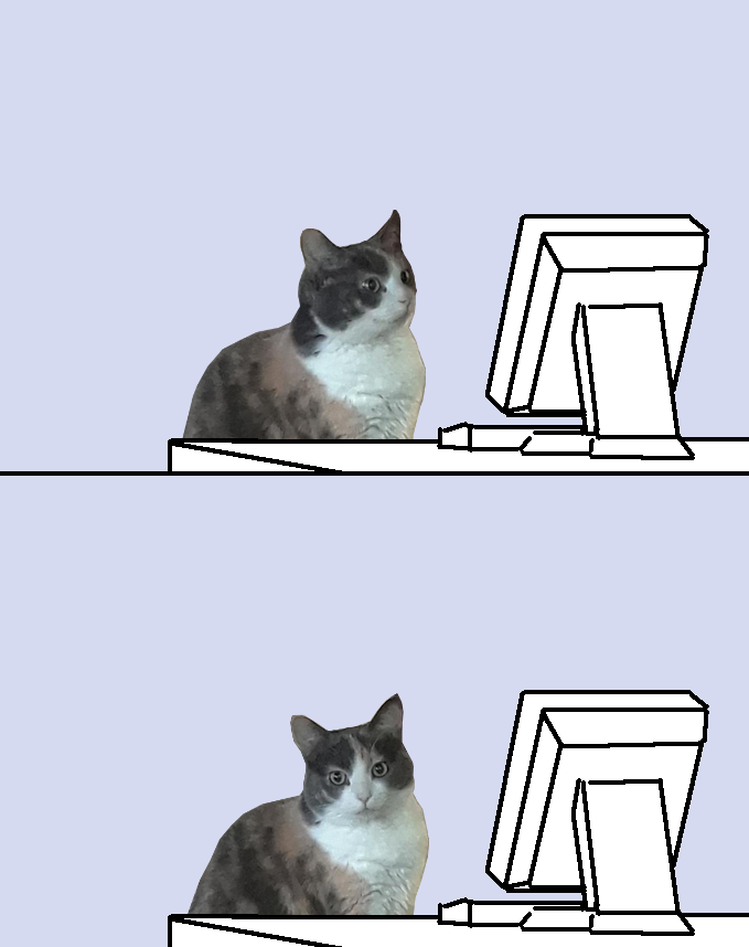 MRW I find exactly a hundred posts of blurred cat images on Fresh