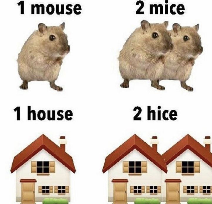 Logical
