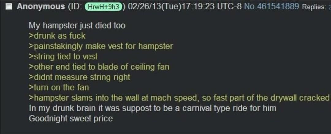 Anon's hampster
