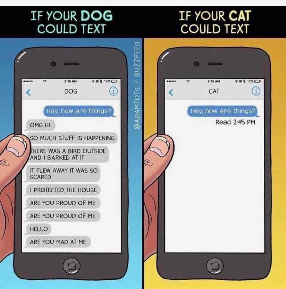 If pets could text