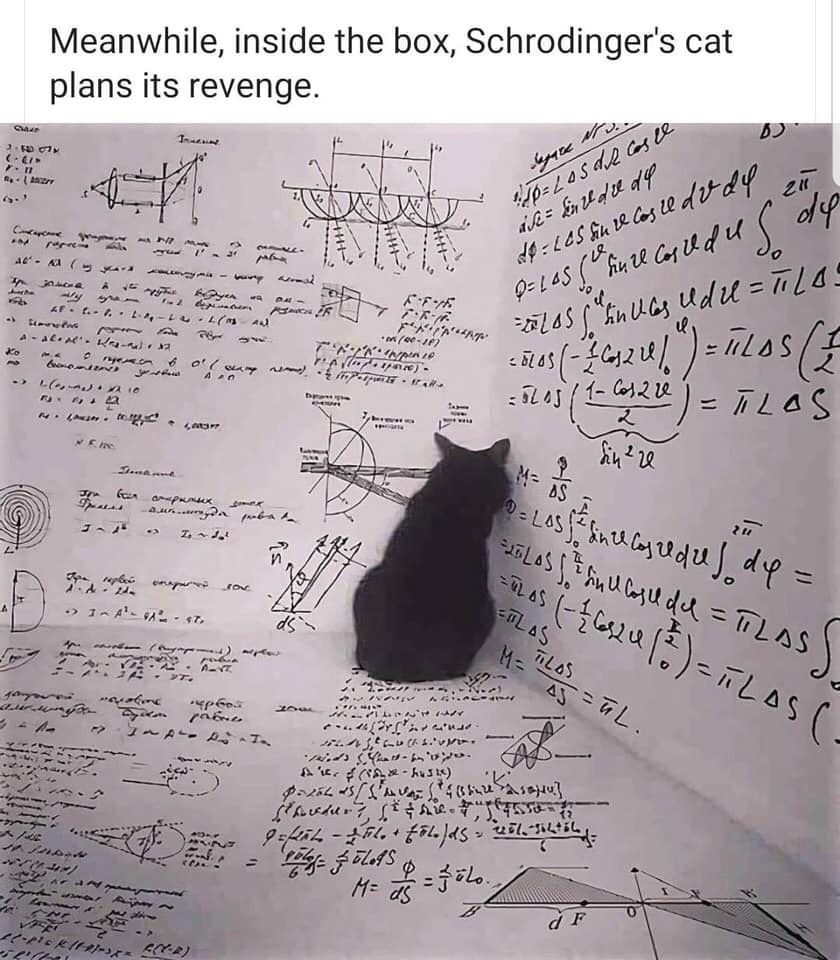 Revenge of Schrödinger's Cat