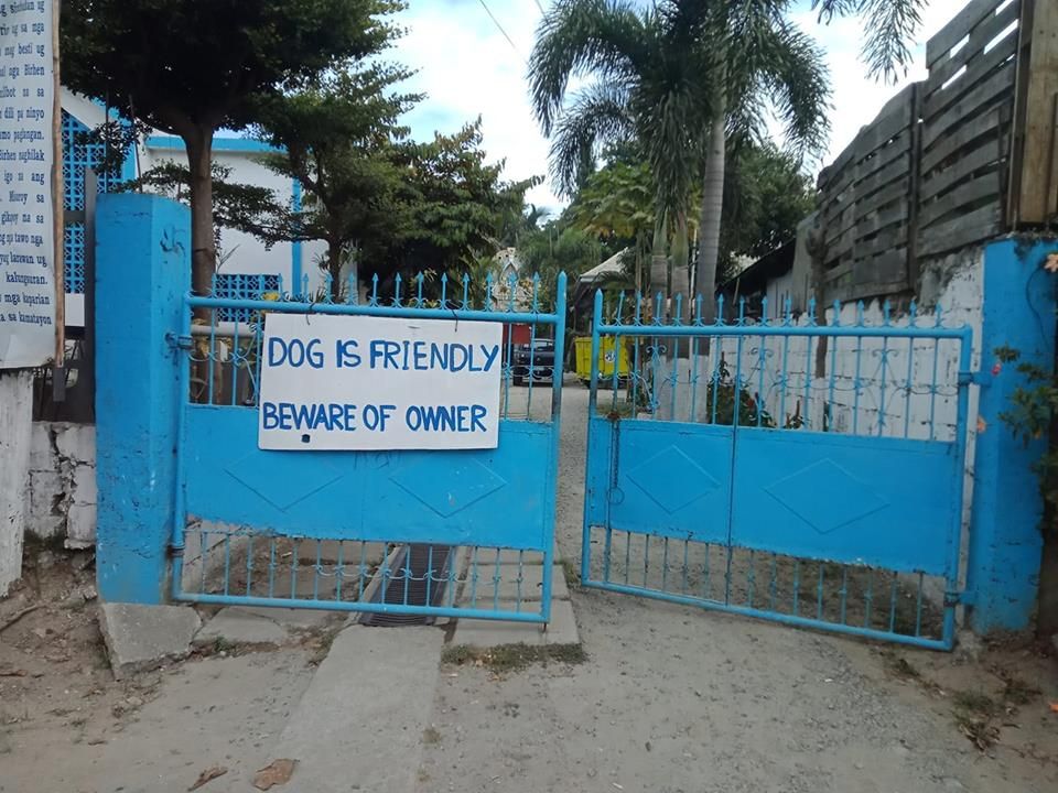 Dog is friendly, beware of owner...