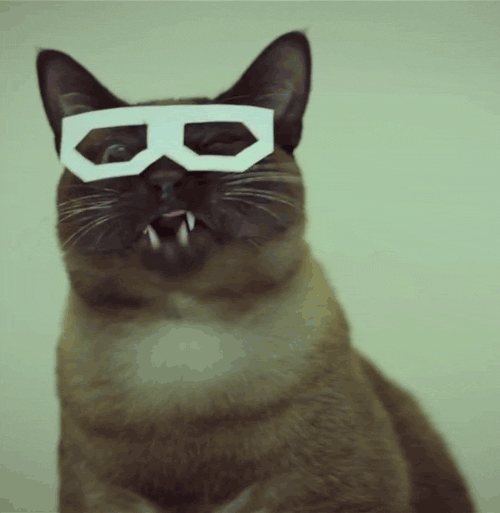 Awesome Kitty