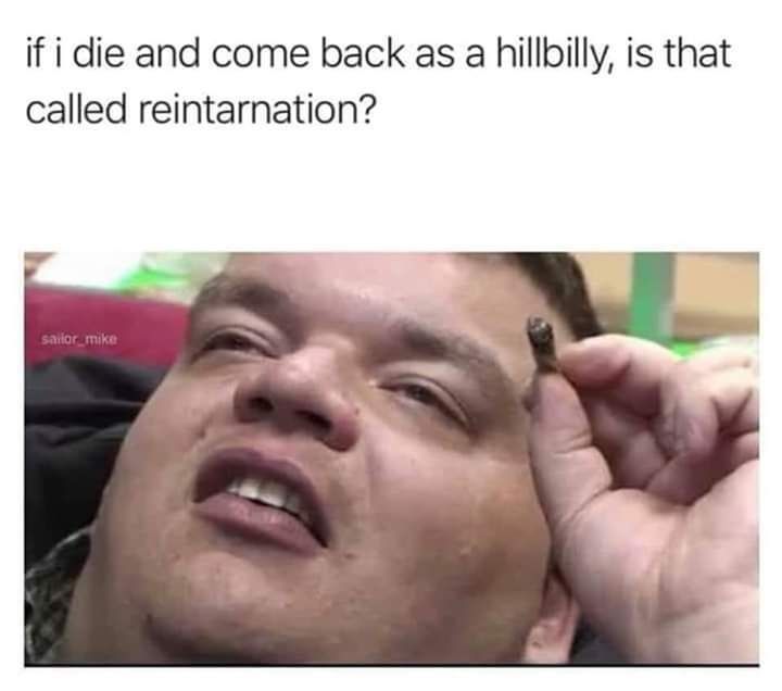 What in reintarnation