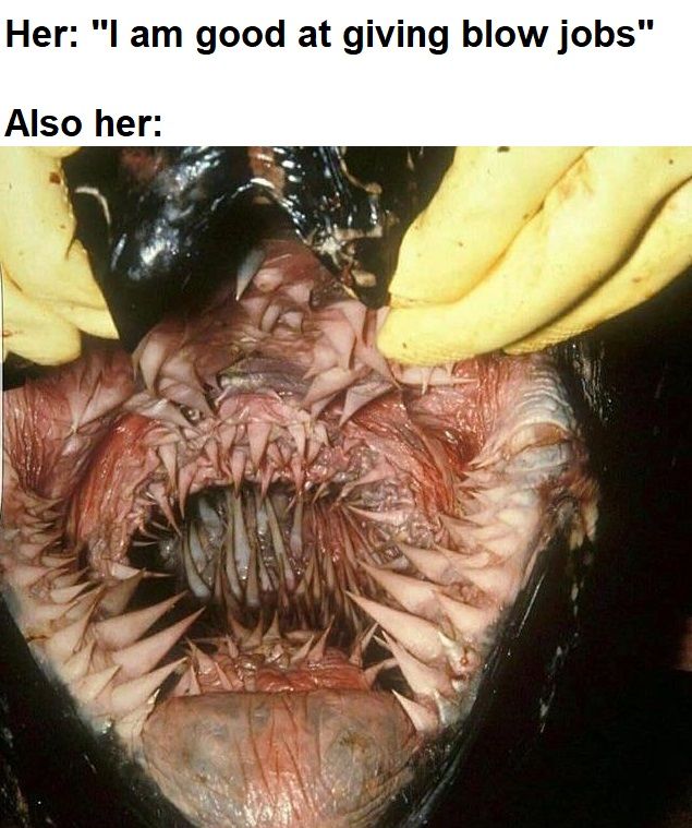 Not like any of us could relate