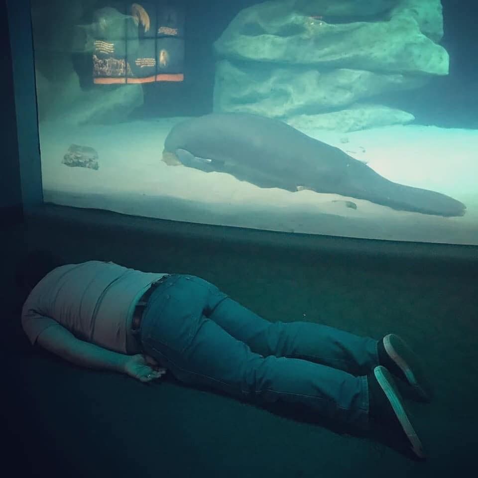 My friend’s cousin visited the aquarium today.