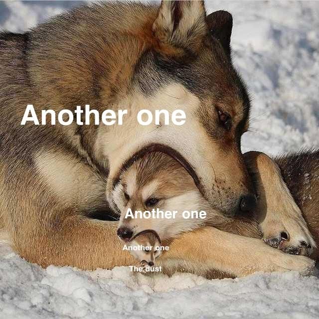 Q u e e n