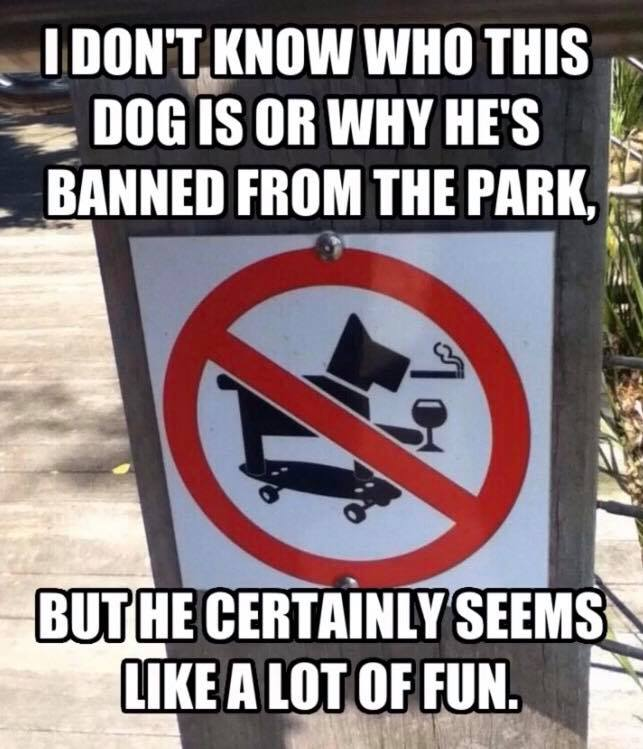 What you can't do in the park !