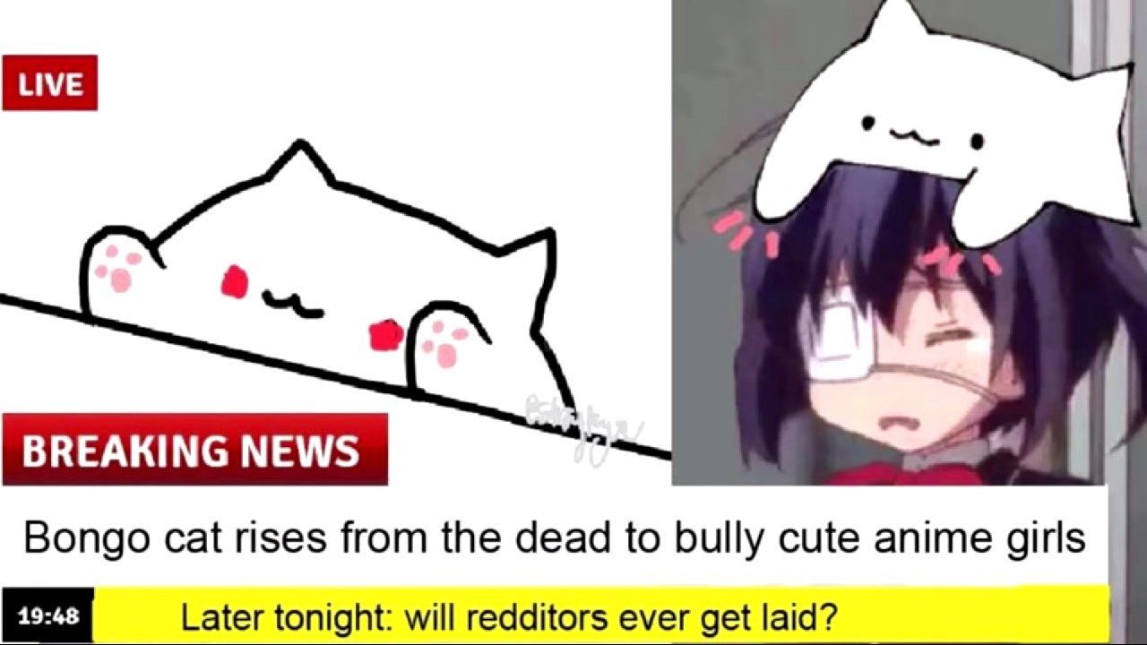 plz no buly