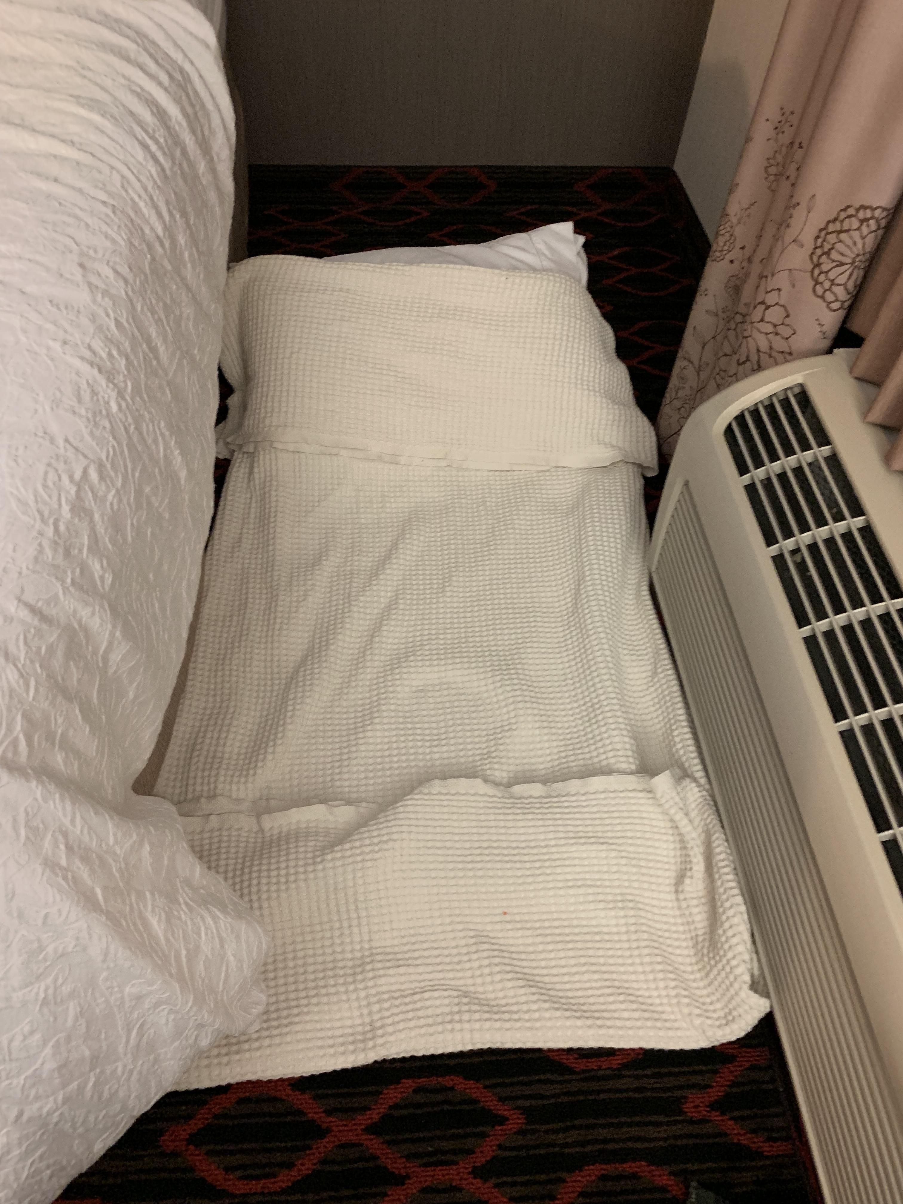 Our hotel was short a bed so I made one out of towels. Housekeeping made it up along with the other beds when we were out.