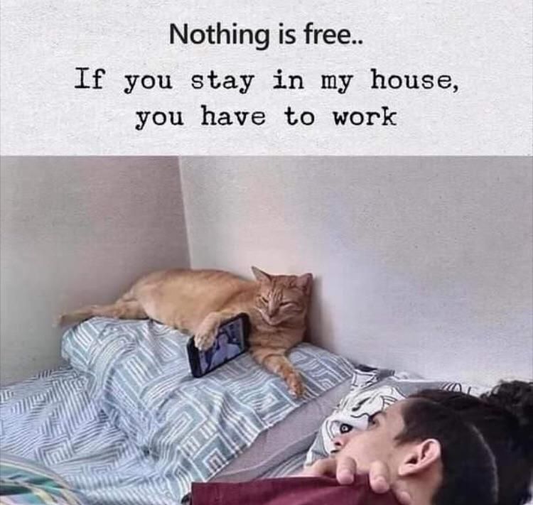 Nothing is free....