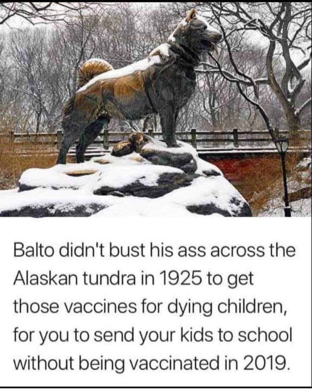 Remember Balto!