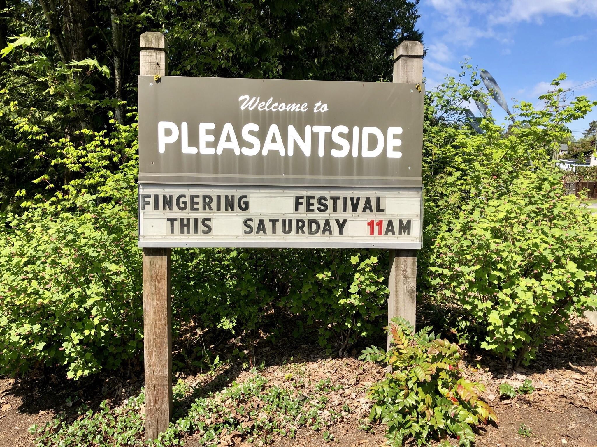 My town has the best festivals...