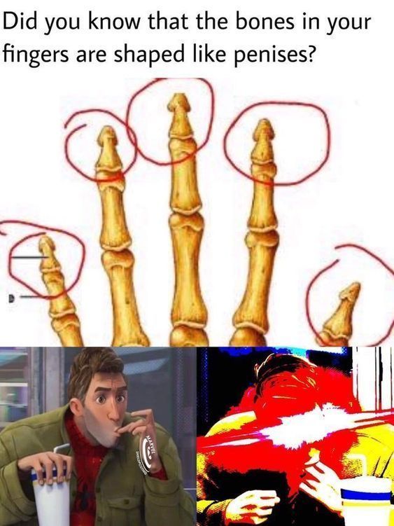 The more you know