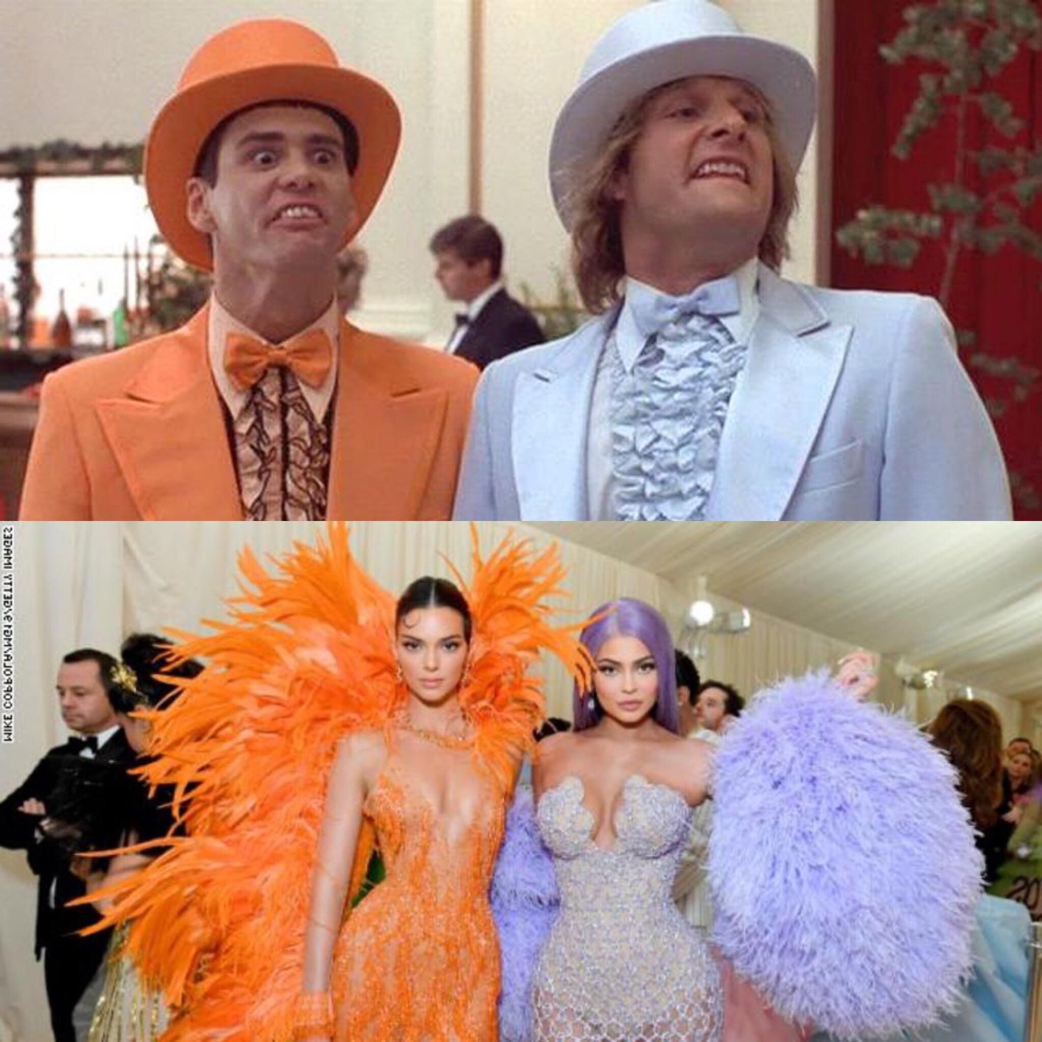 Nailed it! 2019 Dumb and Dumber