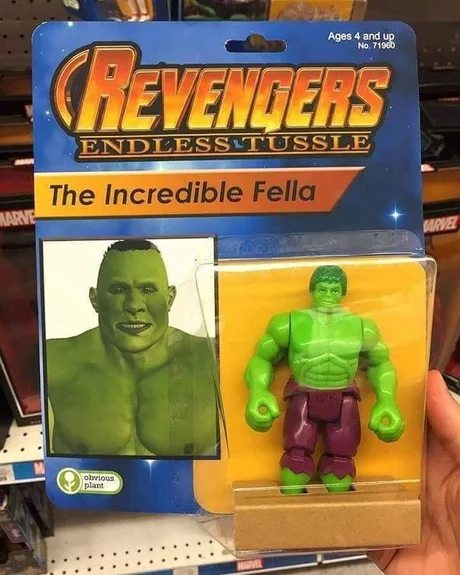 Revengers fella