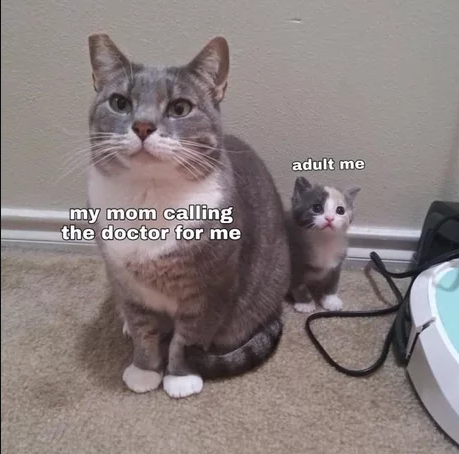 Mom.. I'm not feeling so good..