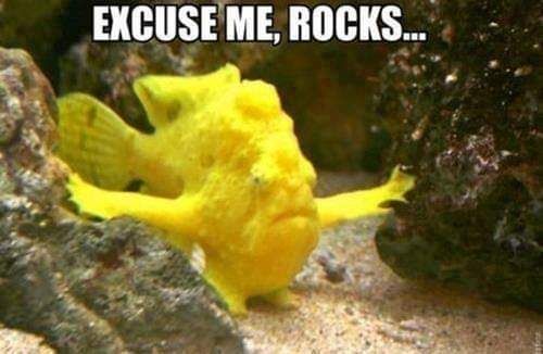 Excuse me, rocks....