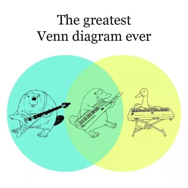 The greatest Venn diagram ever.