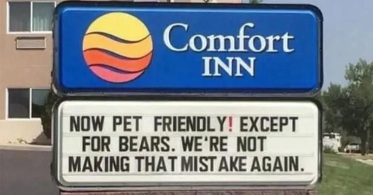 Wonder what the bears did