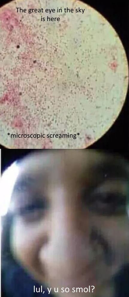 There are some questions science can't answer