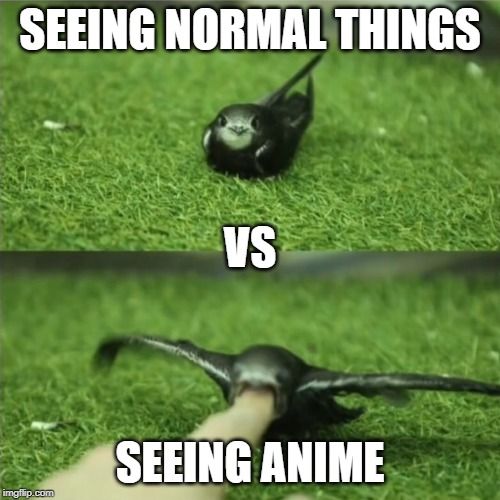 Accurate state of affaires for the nondegenerates of the world