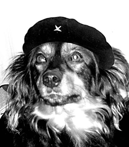 Hasta La Victoria Siempre