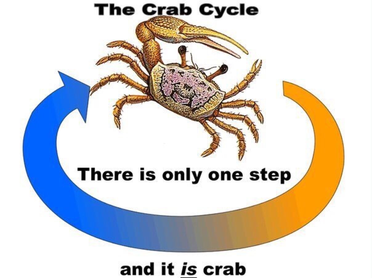 I am the beginning and the end