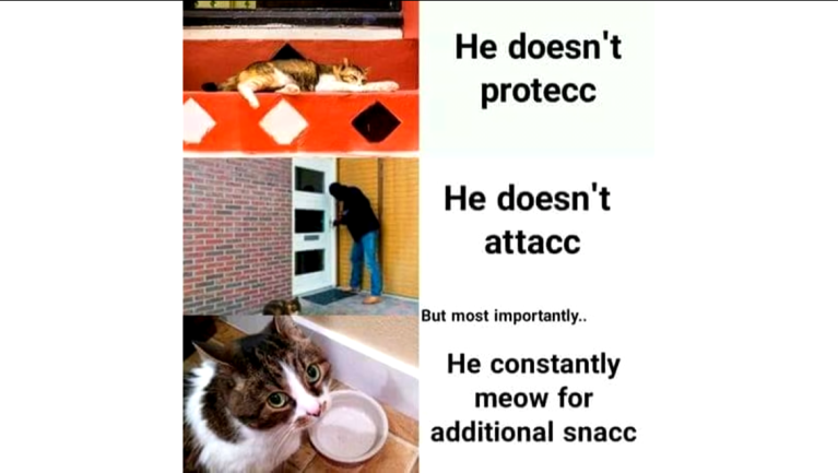 snacc