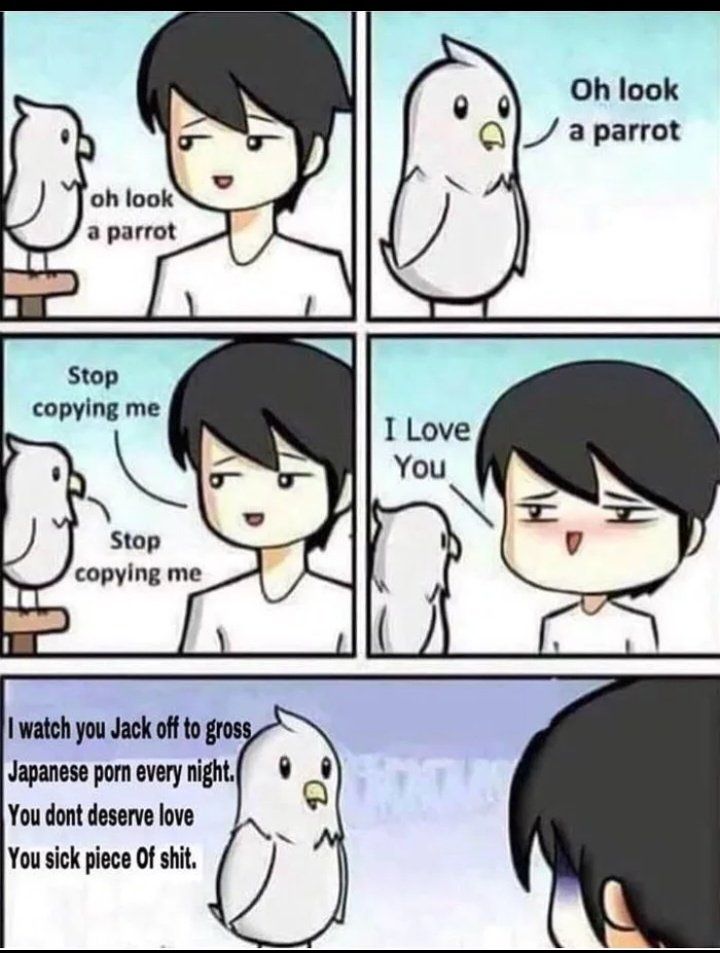 After that nobody saw the parrot again