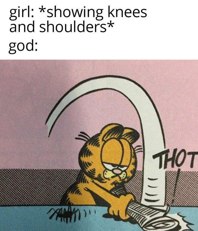 Garfield, the original thot destroyer