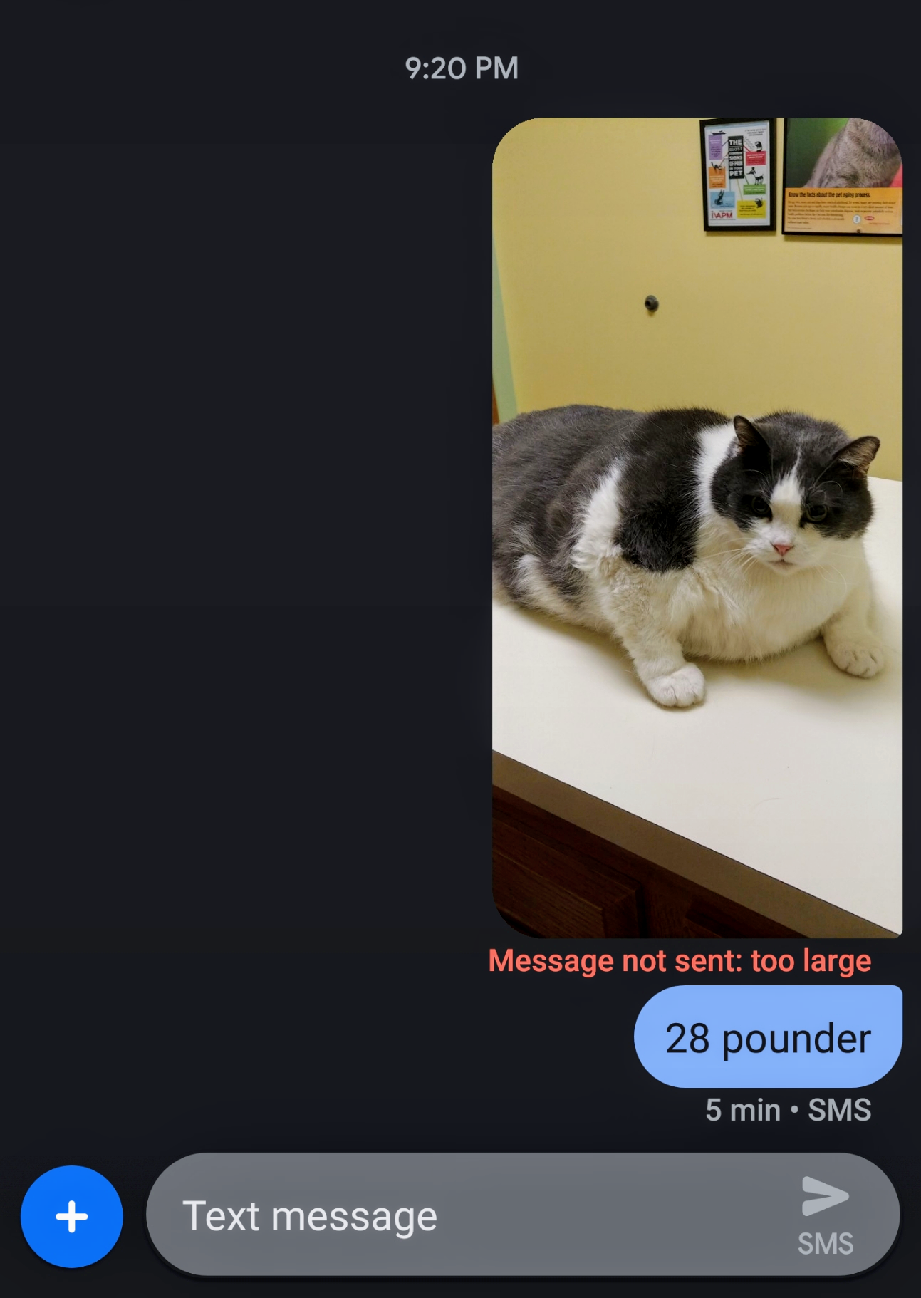 Tried to send a picture of the 28 pound cat I saw.