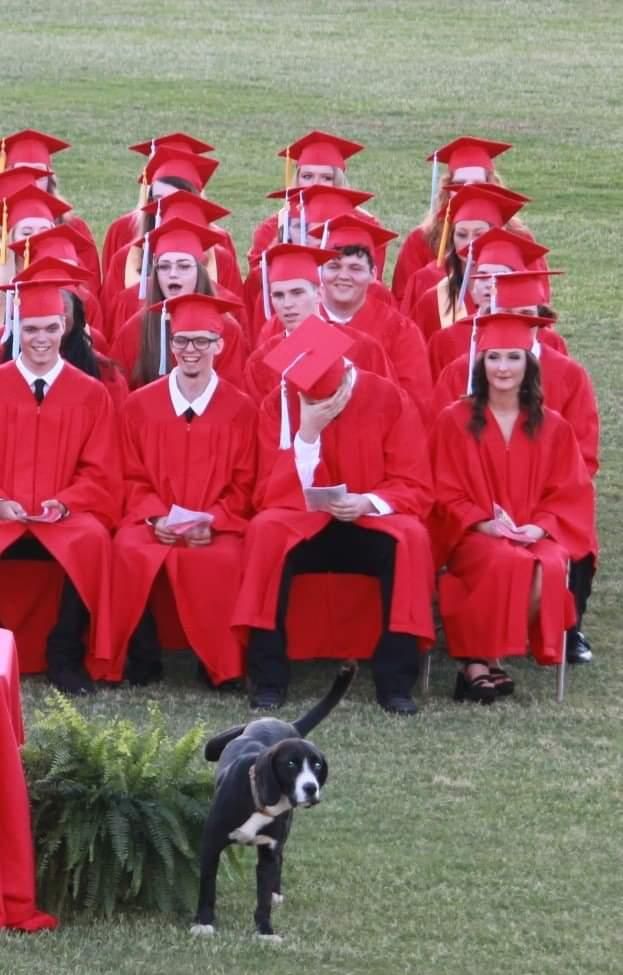 Good boy shows his love for the new graduates.