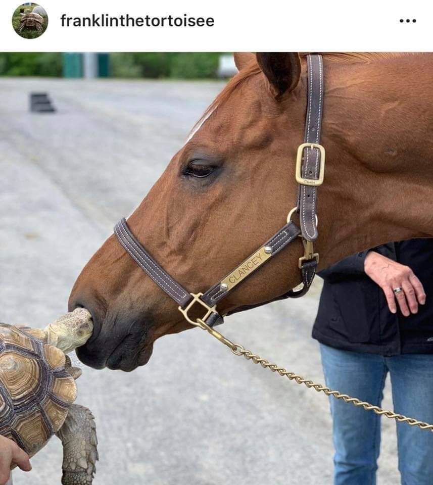 Eww