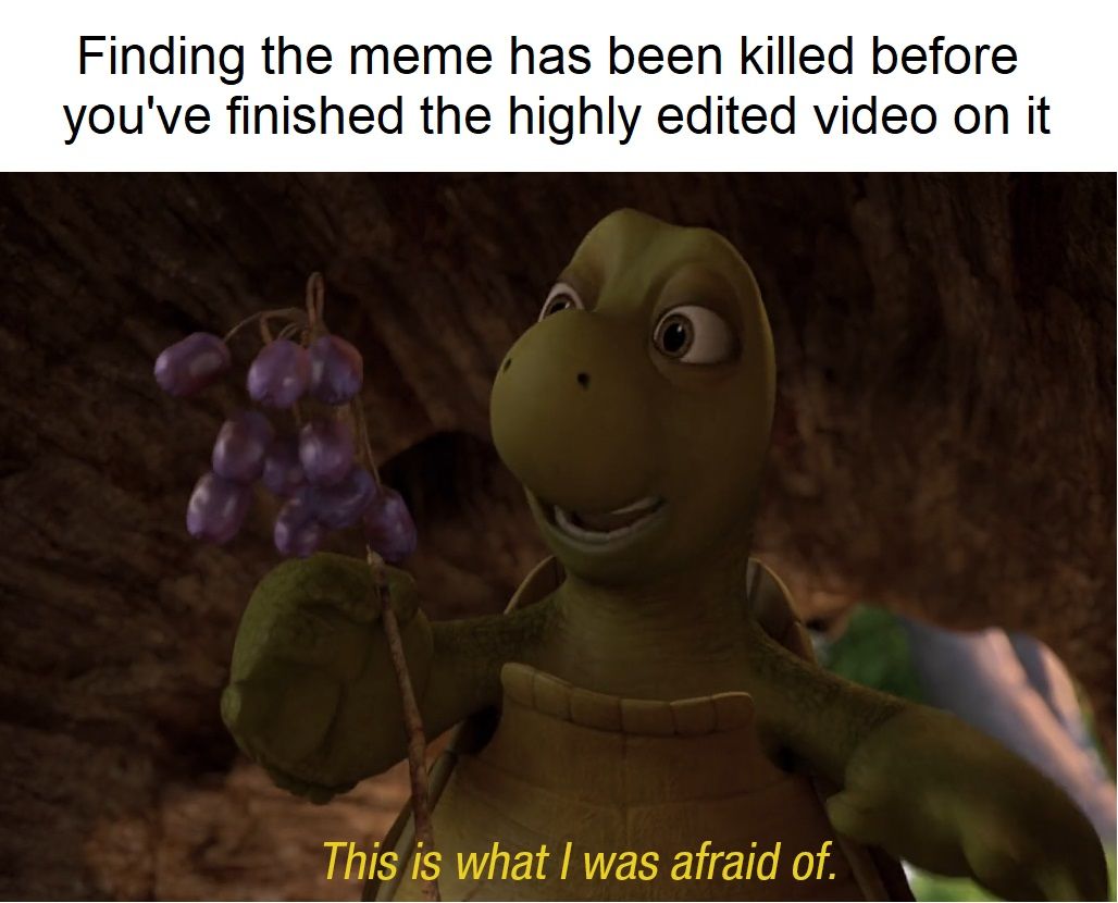 Video Memes > Image Memes