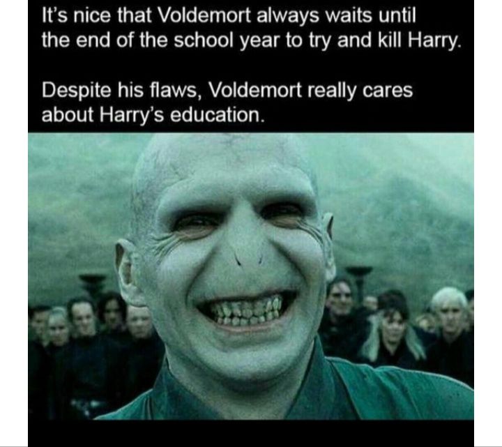 Voldemort was the real mvp