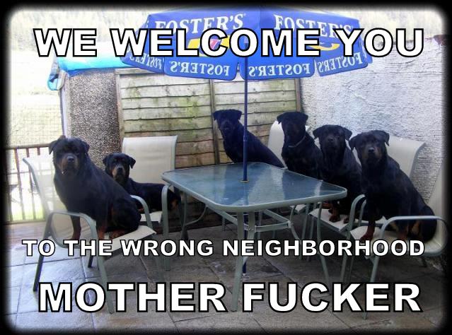 Nice house for robbing.I need to check out if anybody at around hous.. Well f.ck