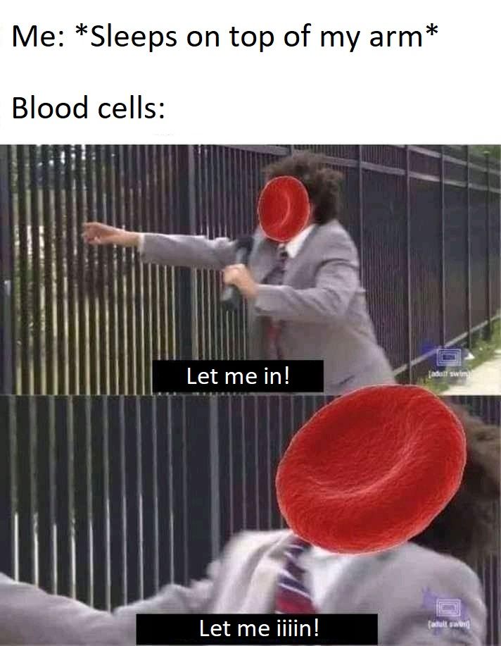 everyday