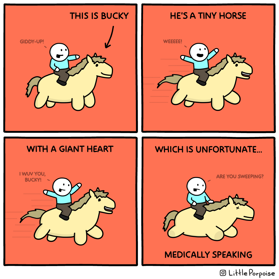 Bucky the Horse