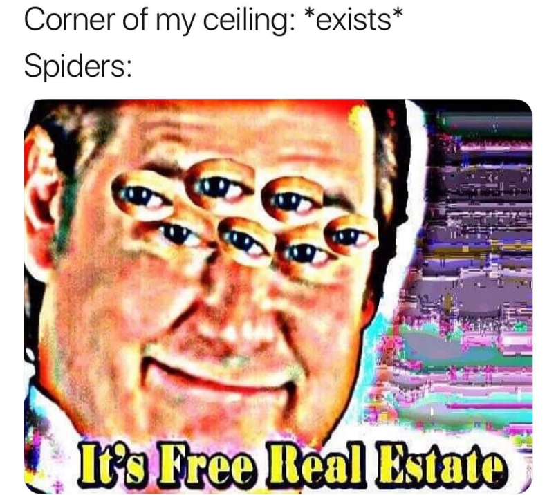 They've got an eye for it