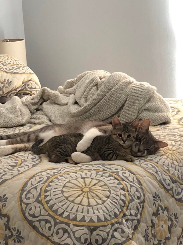 They fight all day, but turns out they actually love each other...