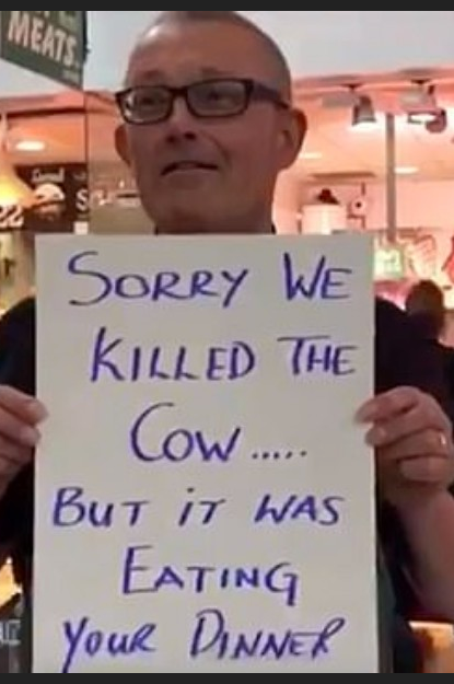 This vegan counter protester on the news