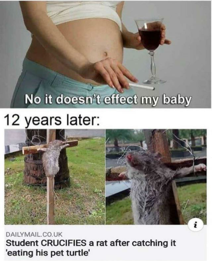 Wtf