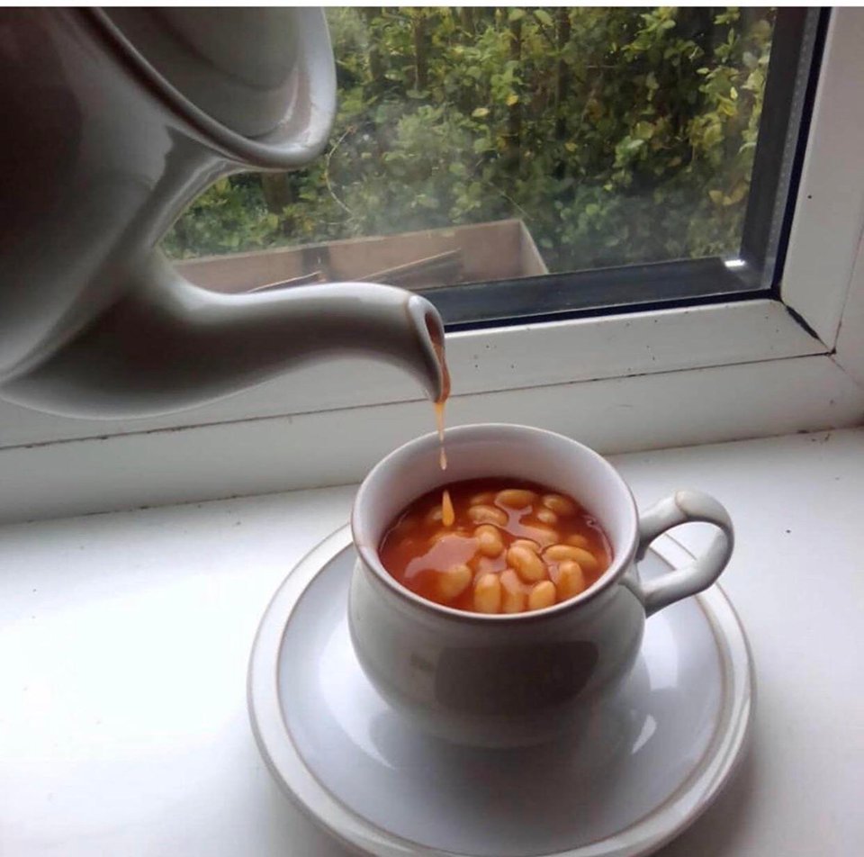 Afternoon tea time