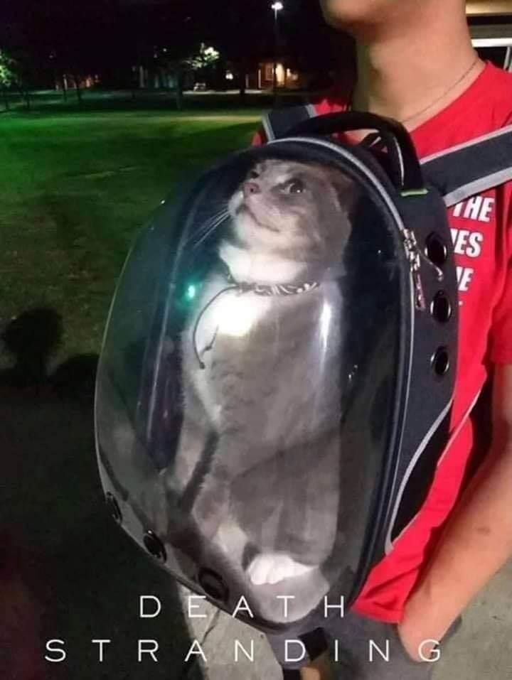 ohh